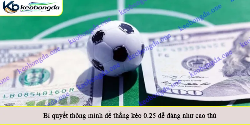Bí quyết thông minh để thắng kèo 0.25 dễ dàng như cao thủ