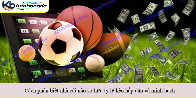 Cách phân biệt nhà cái nào sở hữu tỷ lệ kèo hấp dẫn và minh bạch