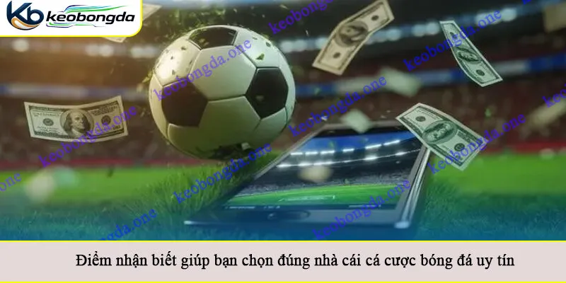 Điểm nhận biết giúp bạn chọn đúng nhà cái cá cược bóng đá uy tín
