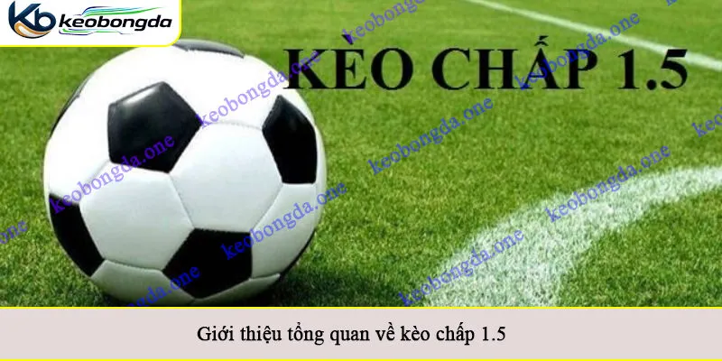 Giới thiệu tổng quan về kèo chấp 1.5