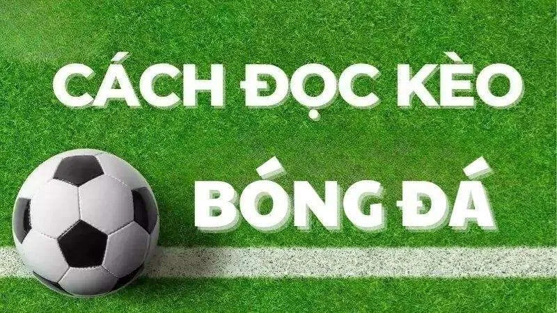 Cách đọc kèo Châu Âu trong bóng đá
